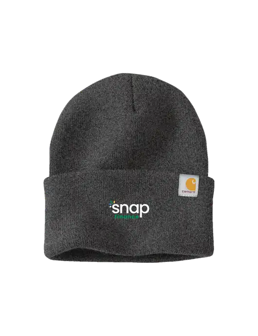 Carhartt Dark Grey Watch Cap 2.0 w/Snap Finance Logo